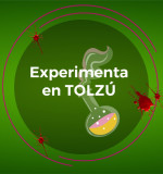 taller-para-crear-liquido-zombie-en-toluca-tripas-de-zombie-en-centro-tolzu.jpg